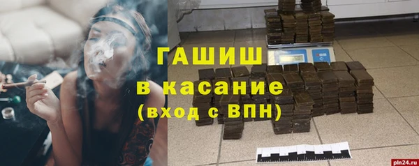 молекула духа Богородицк