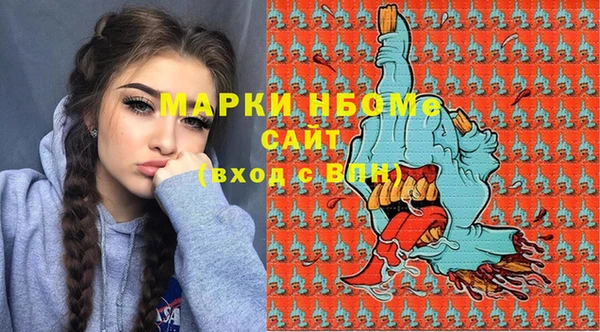 молекула духа Богородицк
