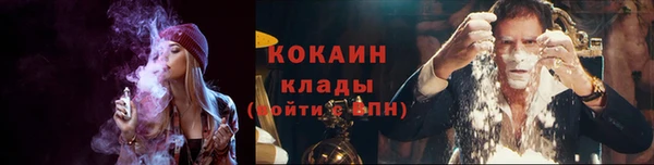 молекула духа Богородицк