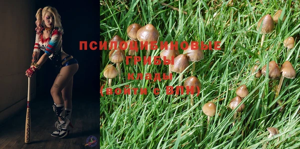 герыч Богданович
