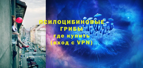молекула духа Богородицк