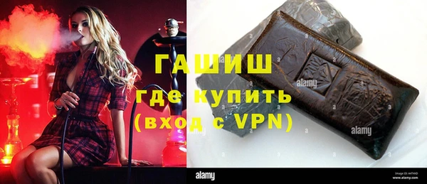 молекула духа Богородицк