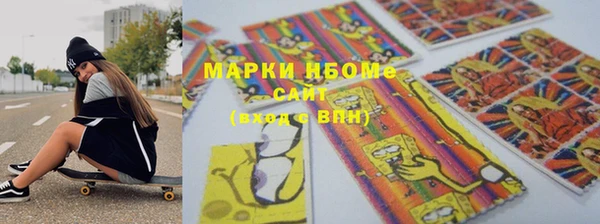 молекула духа Богородицк